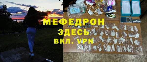 шишки Магас