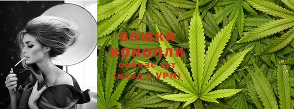 бошки Абаза