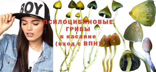 шишки Магас
