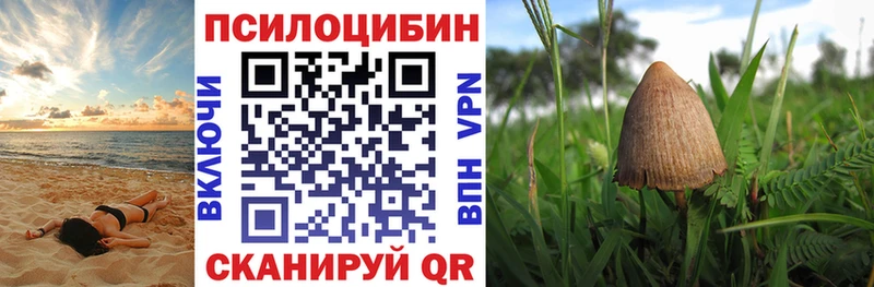 Галлюциногенные грибы ЛСД  где купить наркоту  Северодвинск 