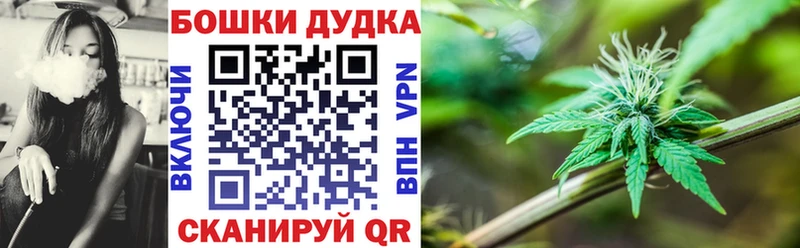 Канабис SATIVA & INDICA  что такое наркотик  MEGA tor  Северодвинск 
